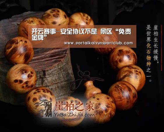 开云赛事-安全协议不是 景区“免责金牌”(图4) KAIYUN官网